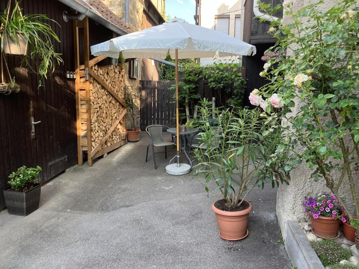 Enz Apartment Bietigheim-Bissingen Bagian luar foto