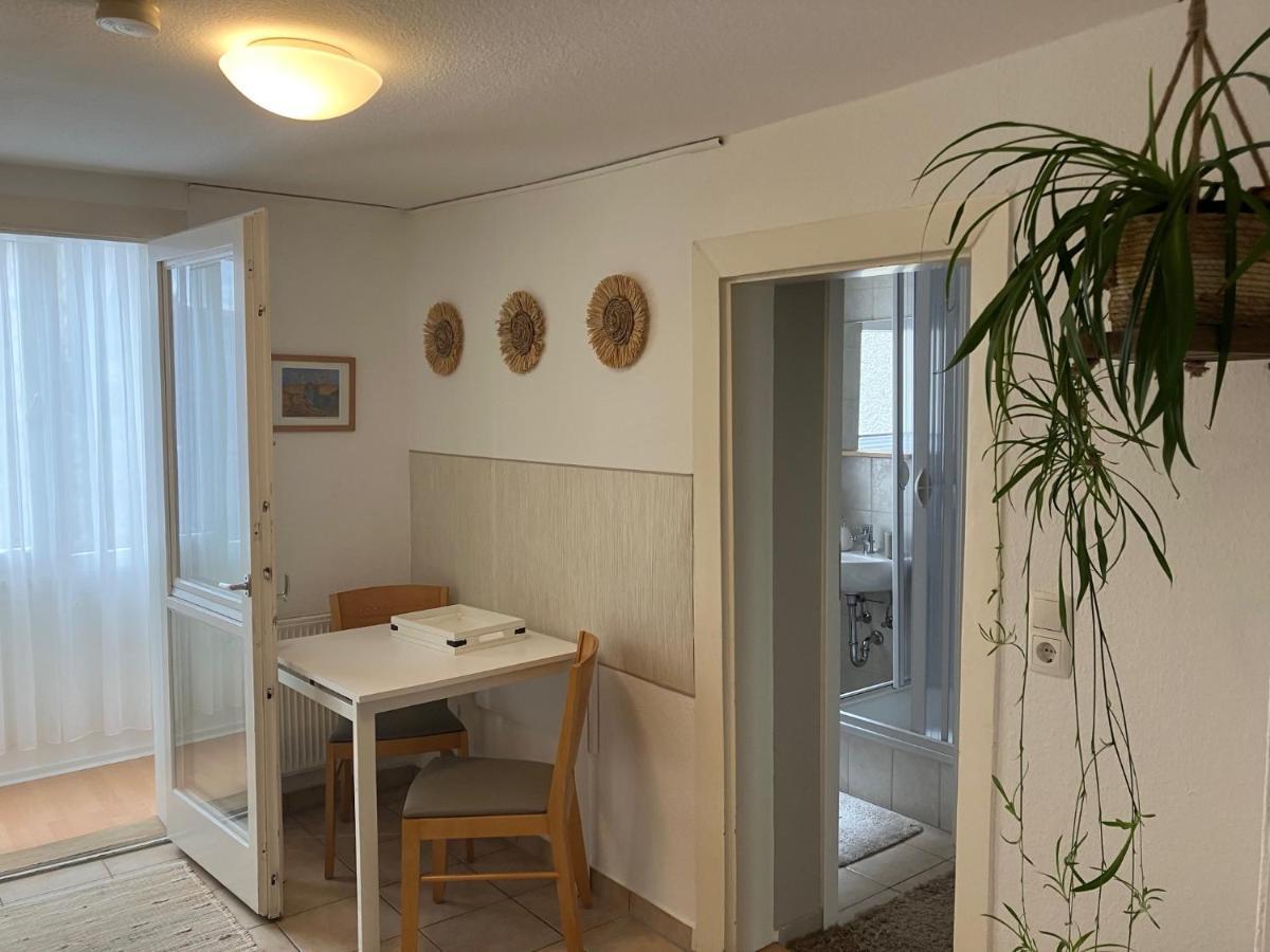 Enz Apartment Bietigheim-Bissingen Bagian luar foto